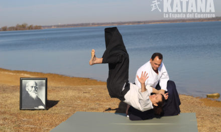 El Aikido y la Armonía