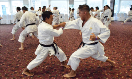 ¿Qué es el KUMITE?