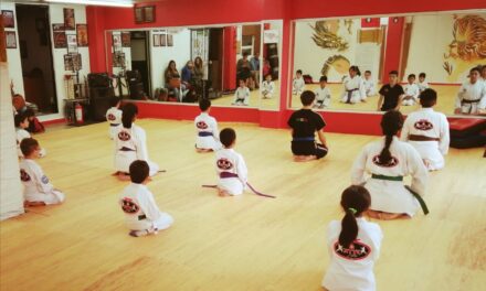 Curso Manejo de Niños en las Artes Marciales